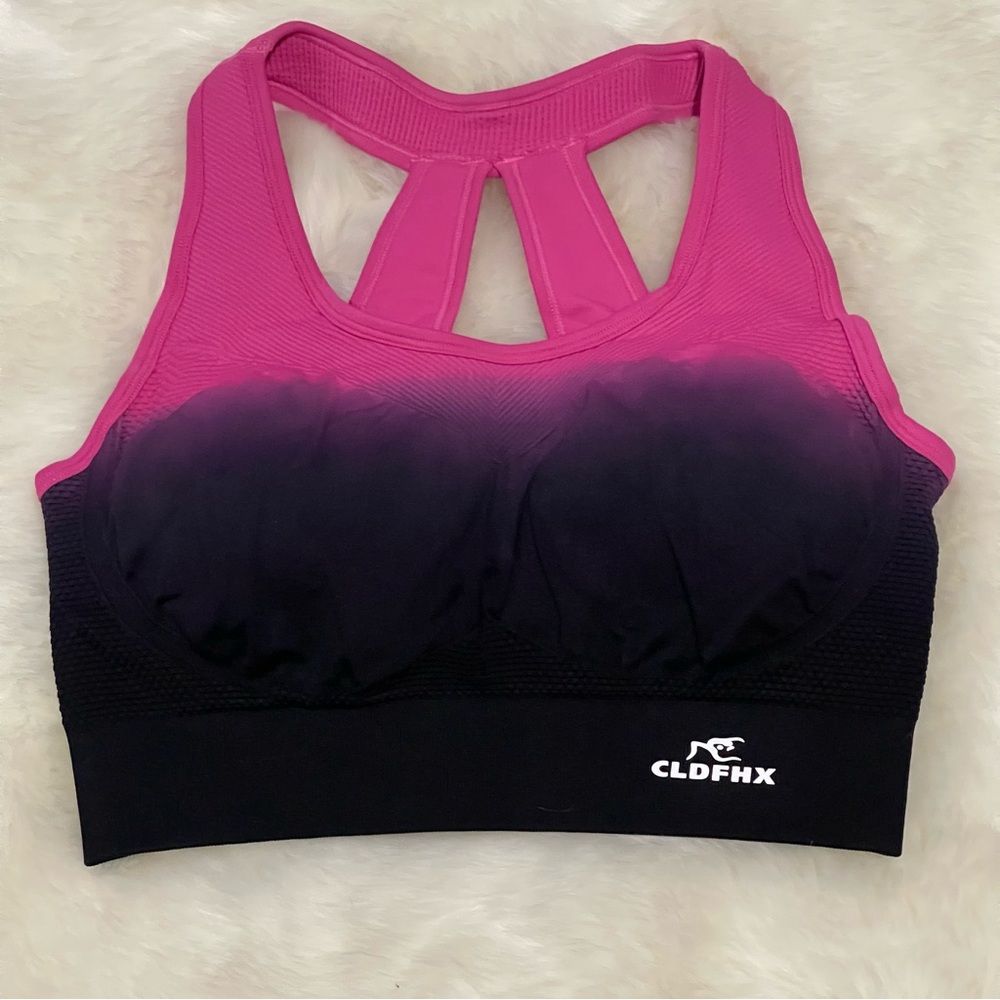 CLDFRX Pink and Black Ombre Sports Bra